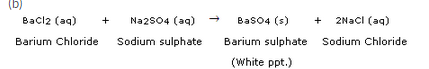 Chemical-Reactions-and-Equations-Lakhmir-Singh-class-10-Chemistry-Solutions-45