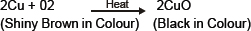 Chemical Reactions and Equations-NCERT Solutions